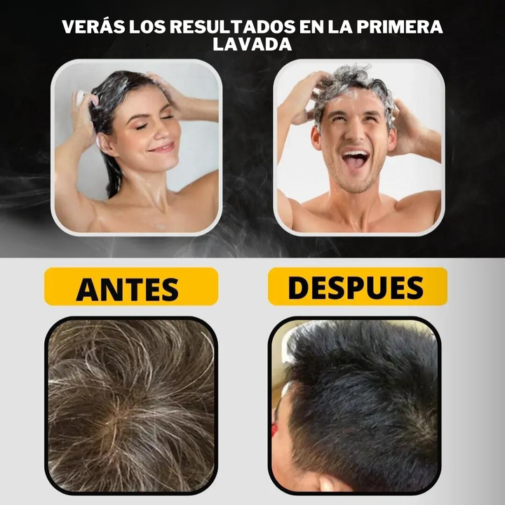 Champú 3 en 1 - Oculta las canas y fortalece el cabello [500ML]