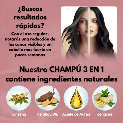 Champú 3 en 1 - Oculta las canas y fortalece el cabello [500ML]