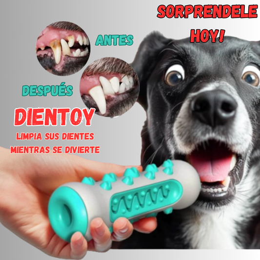 Dientoy - Jueguete Limpiadientes para Perros